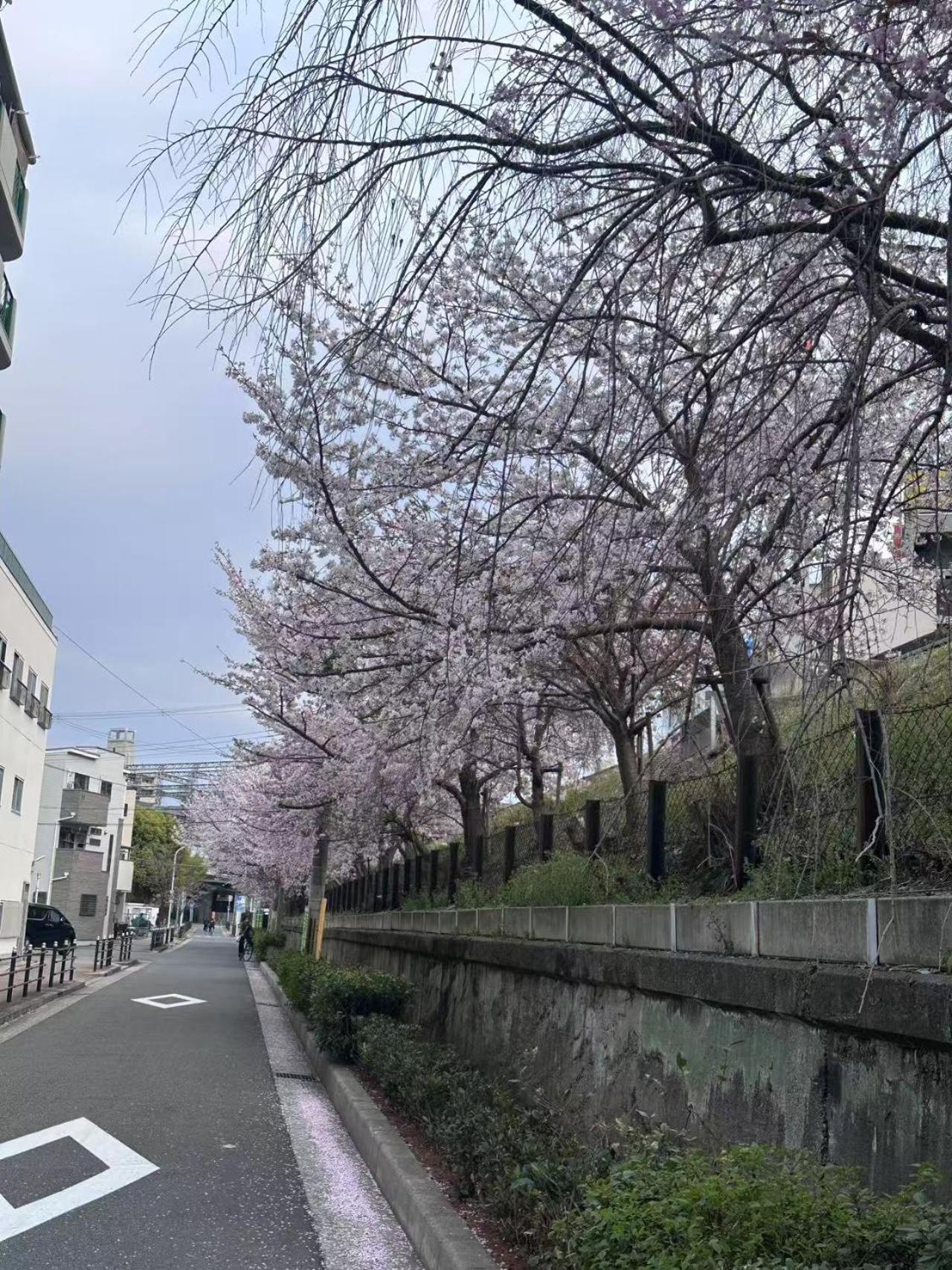 Appartement -旅タイム 岸里春日- 岸里駅 大型車駐車場あり Ōsaka