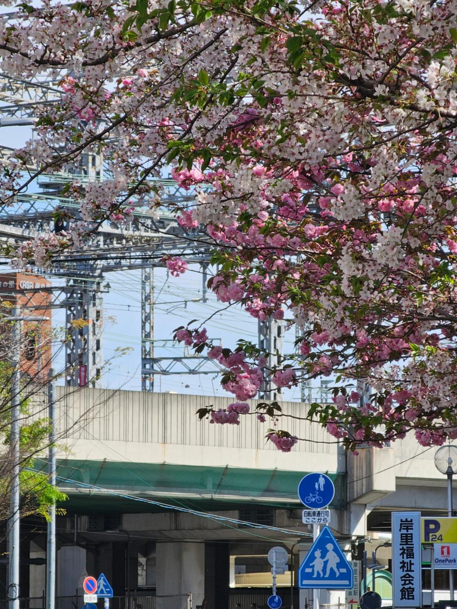 -旅タイム 岸里春日- 岸里駅 大型車駐車場あり Appartement *